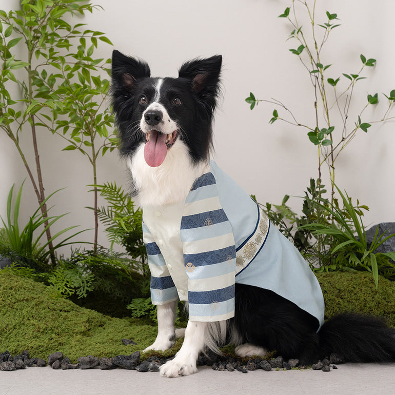 韓國新品上架【梨花娘】🐾BAILEY 🐶秋冬新品 皇室尊貴刺繡流蘇寵物韓服(4色)