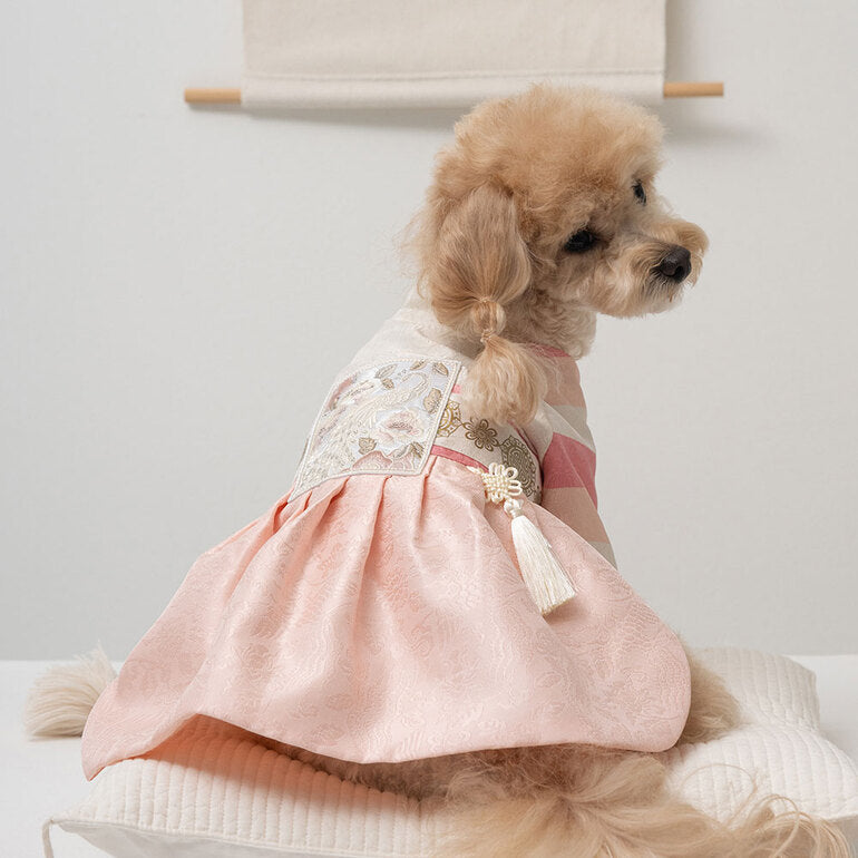 韓國BAILEY💖寵物品牌皇室韓服寵物刺繡衣服(現貨+預購)