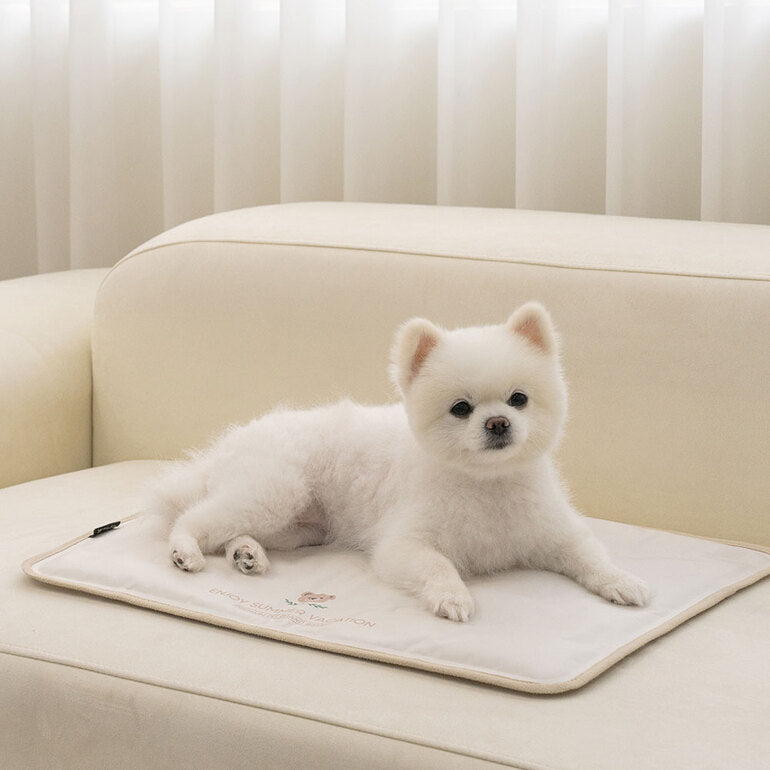 韓國BAILEY💖【梨花娘】夏日必備涼爽親膚降溫舒適防水滿版小熊寵物冰涼墊(3尺寸)