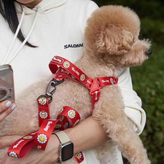 韓國新品上架【梨花娘】🐾BAILEY 🐶秋冬新品 飽合亮色花朵微笑寵物項圈(4色)