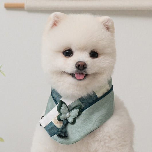 韓國新品上架【梨花娘】🐾BAILEY 🐶秋冬新品 韓國皇室蝴蝶流蘇精緻韓服領巾(4色)