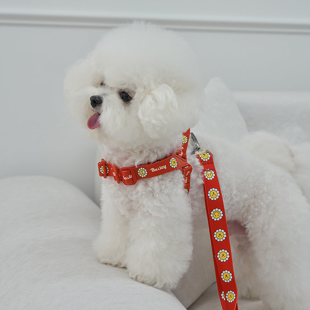 韓國新品上架【梨花娘】🐾BAILEY 🐶秋冬新品 飽合亮色花朵微笑寵物項圈(4色)