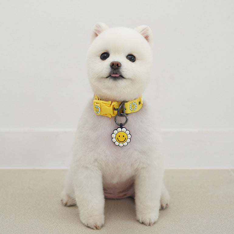 韓國新品上架【梨花娘】🐾BAILEY 🐶秋冬新品 飽合亮色花朵微笑簡易款寵物項圈(4色)