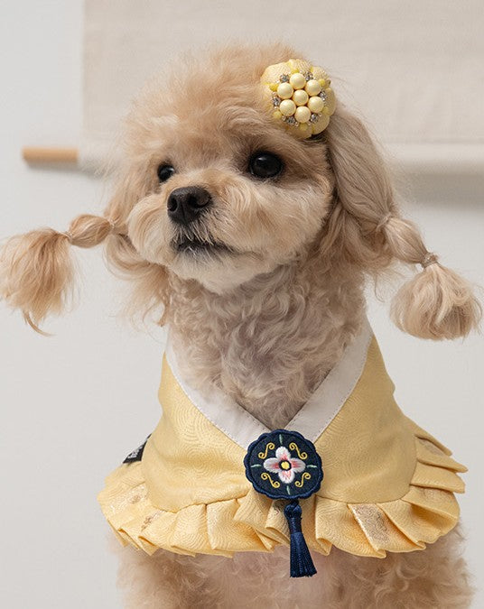 韓國BAILEY💖寵物品牌精緻韓服領巾(現貨+預購)