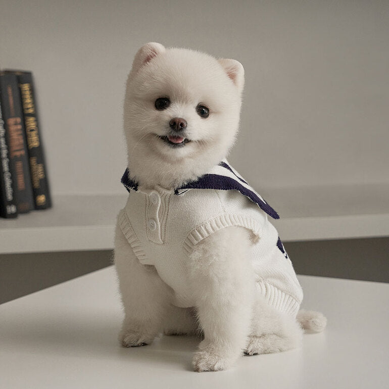 韓國新品上架【梨花娘】🐾BAILEY 🐶秋冬新品 撞色海軍領雙口袋針織毛衣寵物服飾(2色)