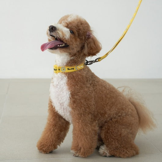 韓國新品上架【梨花娘】🐾BAILEY 🐶秋冬新品 飽合亮色花朵微笑簡易款寵物牽繩(4色)