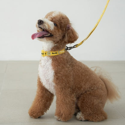 韓國新品上架【梨花娘】🐾BAILEY 🐶秋冬新品 飽合亮色花朵微笑簡易款寵物牽繩(4色)