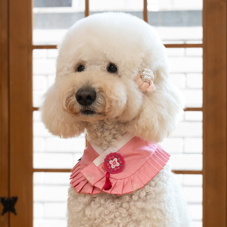 韓國新品上架【梨花娘】🐾BAILEY 🐶韓系華麗宮庭風珍珠流蘇寵物髮夾(9色)