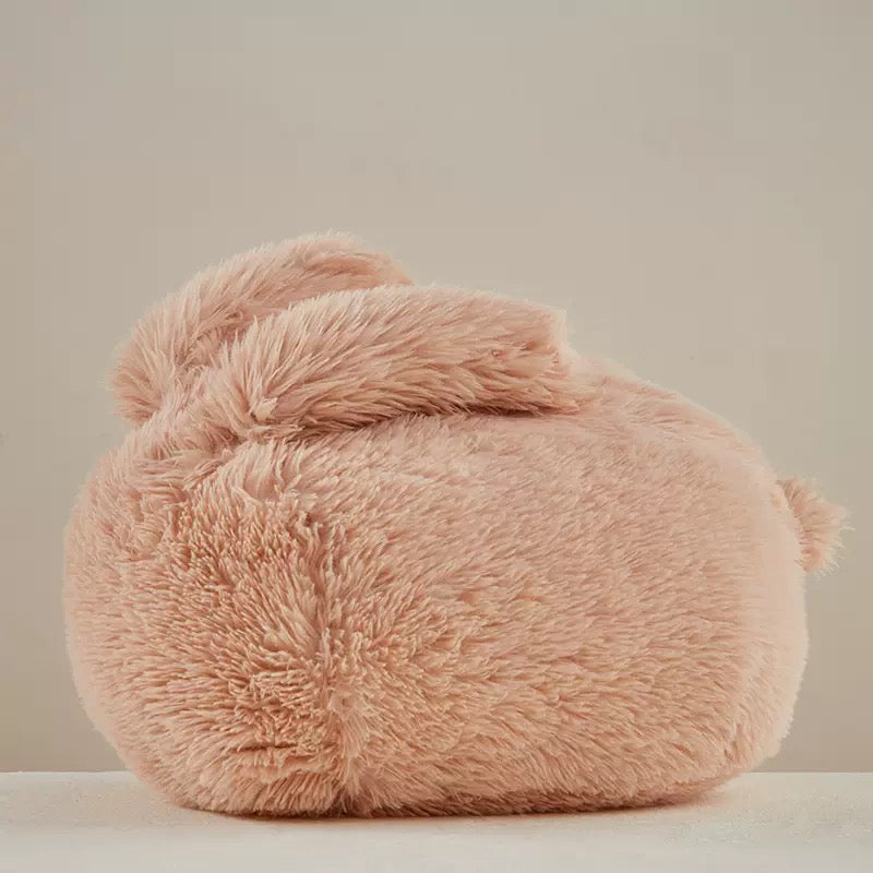 🆕新品上架【梨花瑪雅】柔軟你的🐇弗斯達兔子絨毛抱枕沙發辦公午睡床上靠墊(3色)宜送女生禮物家用💕