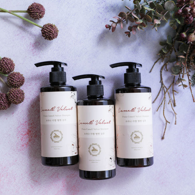 💜新品上架【梨花娘】🫧韓國PUMBLEPET 🌿EWG綠色認證天然植萃絲潤蓬鬆洗髮精300ml(犬貓適用)