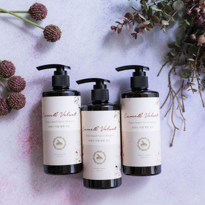 💜新品上架【梨花娘】🫧韓國PUMBLEPET 🌿EWG綠色認證天然植萃絲潤蓬鬆洗髮精300ml(犬貓適用)