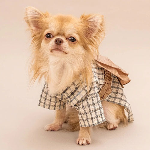新品上架【梨花娘總代理】🐾日本品牌Solgra 🐶學院風格紋立體蝴蝶結寵物浴衣(S~XXL)