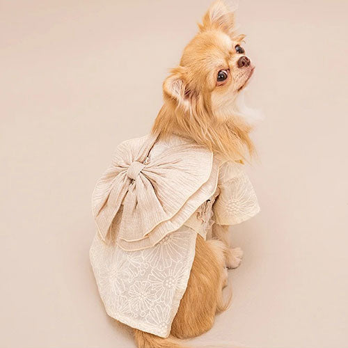 新品上架【梨花娘總代理】🐾日本品牌Solgra 🐶立體蕾絲褶皺和風奢華寵物和服(S~XXL)