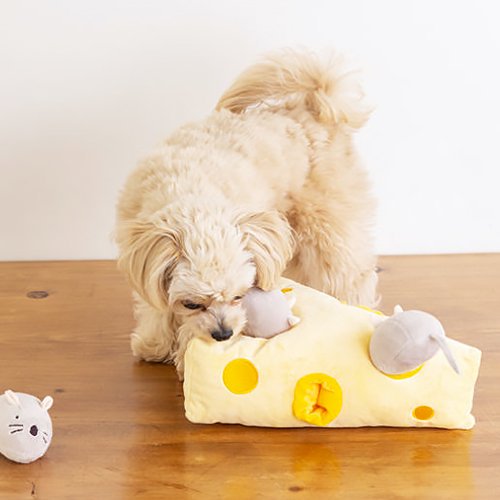 🌸新品上架【梨花娘總代理】🐾日本品牌Solgra🧀起司鼠鼠捉迷藏｜藏食嗅聞益智寵物玩具組