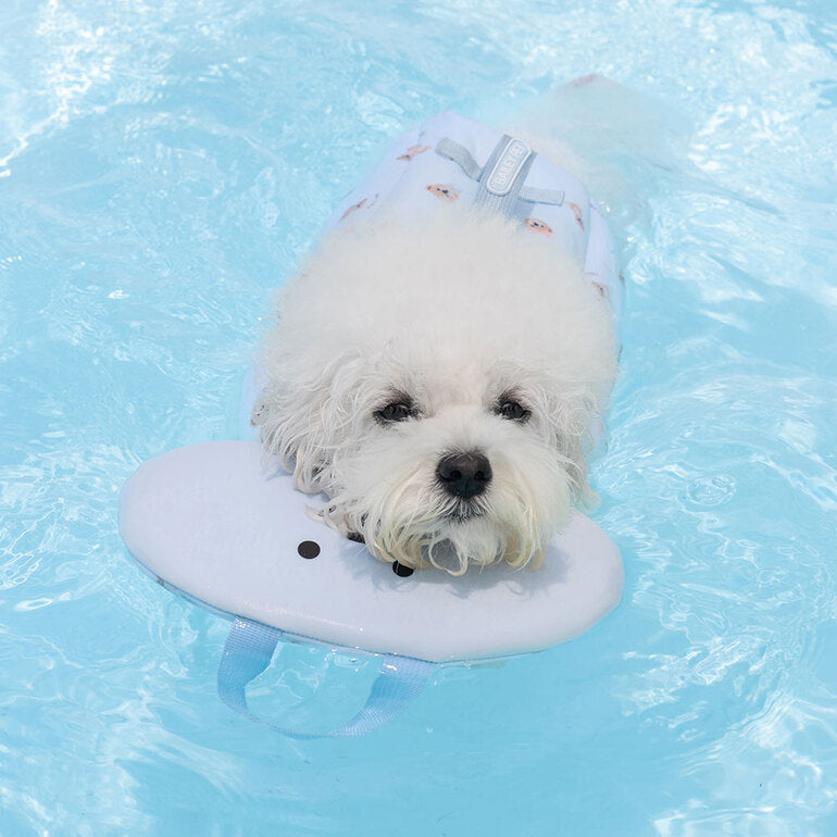 韓國新品上架【梨花娘】🐾BAILEY 🐶夏日馬卡龍色系高浮力清涼透氣寵物漂浮泳衣(3色)