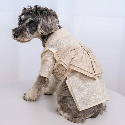 新品上架【梨花娘總代理】🐾日本品牌Solgra 🐶立體蕾絲褶皺和風奢華寵物和服(S~XXL)