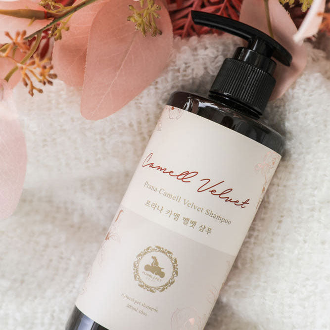 💜新品上架【梨花娘】🫧韓國PUMBLEPET 🌿EWG綠色認證天然植萃絲潤蓬鬆洗髮精300ml(犬貓適用)