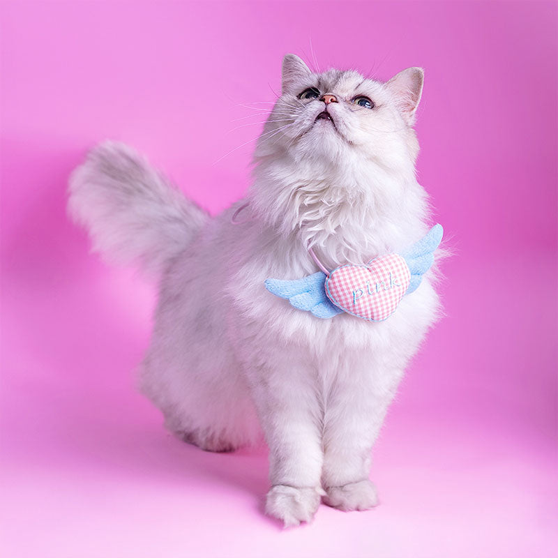 🆕新品上架【梨花瑪雅】🐶🐱愛心翅膀超舒服可愛寵物可調節項鍊(3款)💕貓咪禮物，萌寵禮物