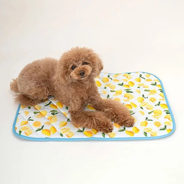 新品上架【梨花娘總代理】🐾日本品牌Solgra 🐶毛孩專用瞬冷降溫舒眠方型床墊/冰涼墊/U型舒眠枕(4色)