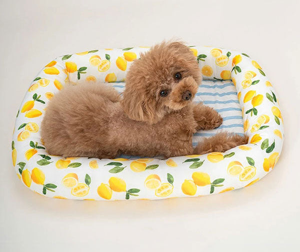 新品上架【梨花娘總代理】🐾日本品牌Solgra 🐶毛孩專用瞬冷降溫舒眠方型床墊(4色)