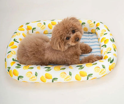新品上架【梨花娘總代理】🐾日本品牌Solgra 🐶毛孩專用瞬冷降溫舒眠方型床墊(4色)