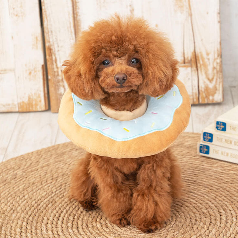 新品上架【梨花娘總代理】🍩日本品牌Solgra萌果甜甜圈寵物防舔護頸枕｜柔軟舒適恢復頸圈・術後防抓防咬