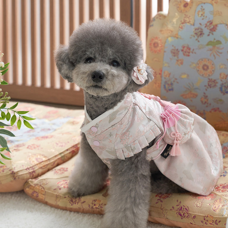 韓國新品上架【梨花娘】🐾BAILEY 🐶秋冬新品 新年編織結掛香包寶貝寵物韓服(2色)