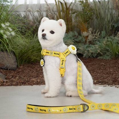 韓國新品上架【梨花娘】🐾BAILEY 🐶秋冬新品 飽合亮色花朵微笑寵物牽繩(4色)