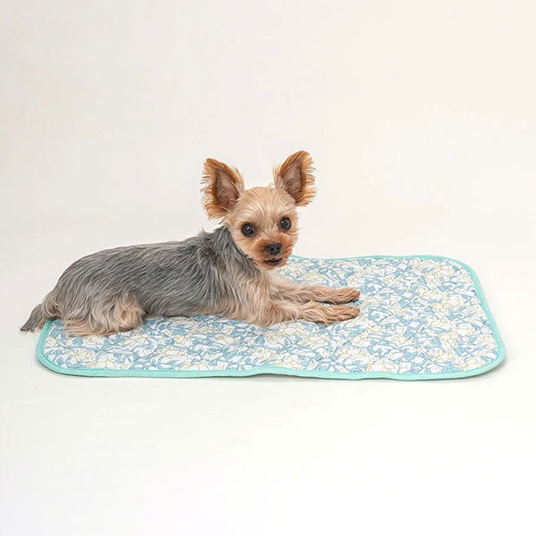 新品上架【梨花娘總代理】🐾日本品牌Solgra 🐶毛孩專用瞬冷降溫舒眠方型床墊/冰涼墊/U型舒眠枕(4色)