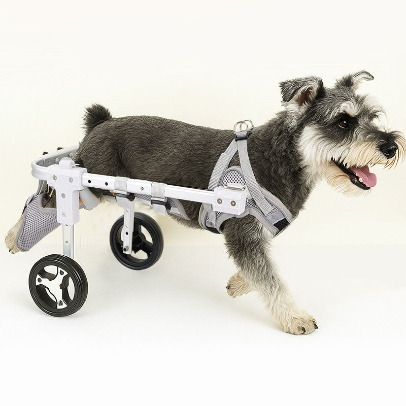 🆕新品上架【梨花瑪雅】🐱🐶穿戴舒適安裝簡單貓狗輪椅(2款式4尺寸)