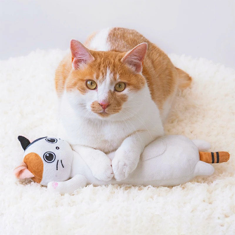 新品上架【梨花娘總代理】🐾日本品牌Solgra😽貓咪抱抱踢｜長條抱枕踢踢玩具(6款)