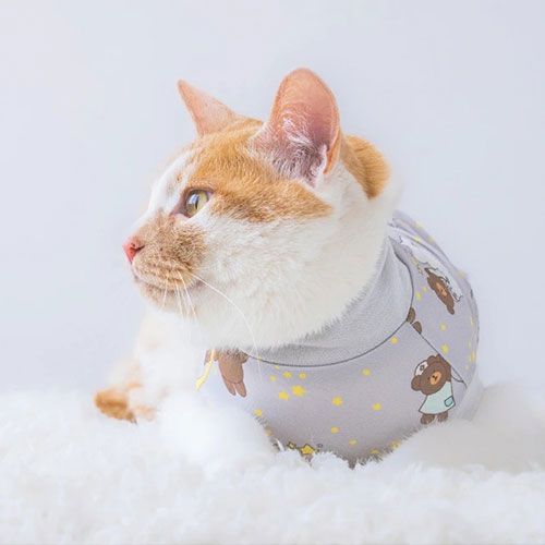 新品上架【梨花娘總代理】🐾日本品牌Solgra 😼術後貼身舒適包覆防舔衣貓貓款XS~M