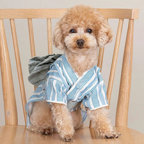 新品上架【梨花娘總代理】🐾日本品牌Solgra 🐶日系立體蝴蝶結寵物夏日浴衣(XS~XXL)