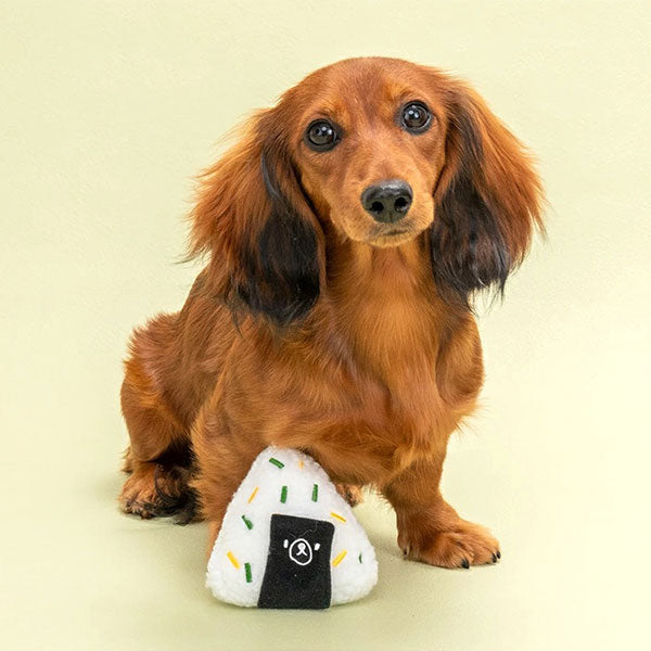 新品上架【梨花娘總代理】🐾日本品牌Solgra🐶日和便當俱樂部｜日系寵物啾啾發聲玩具(7款)