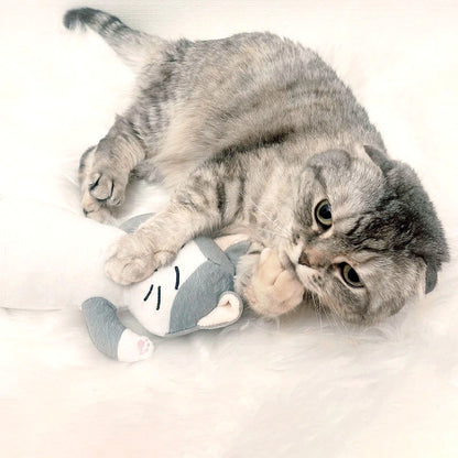 新品上架【梨花娘總代理】🐾日本品牌Solgra😽貓咪抱抱踢｜長條抱枕踢踢玩具(6款)