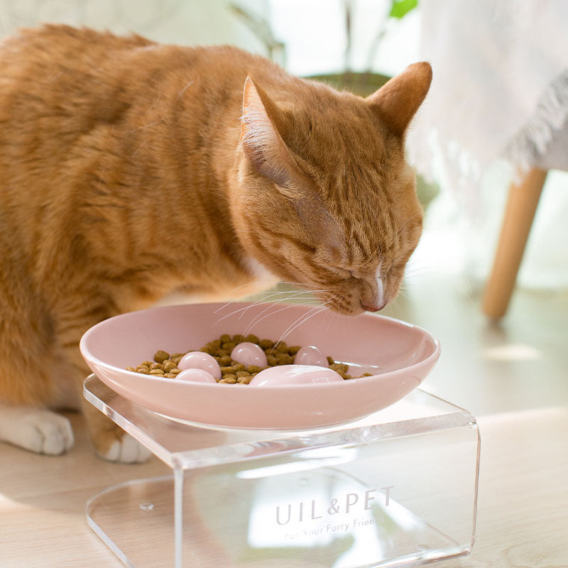 💜新品上架【梨花娘總代理】韓國專利品牌 UIL&amp;PET l 餐餐碗慢食碗｜防噎防吐・Regular系列・貓狗適用可搭配任何自動餵食器