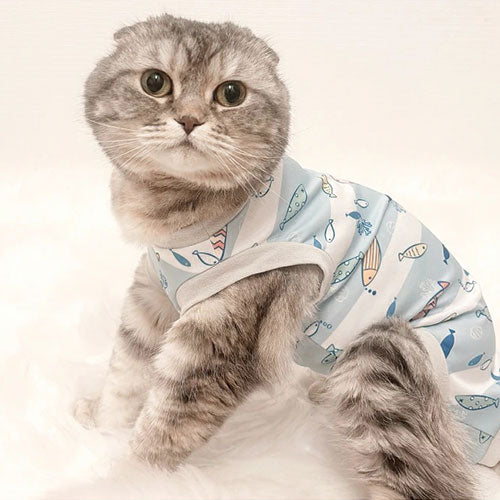 新品上架【梨花娘總代理】🐾日本品牌Solgra 😼術後貼身舒適包覆防舔衣貓貓款XS~M
