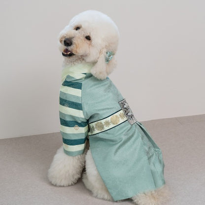 韓國新品上架【梨花娘】🐾BAILEY 🐶秋冬新品 皇室尊貴刺繡流蘇寵物韓服(4色)