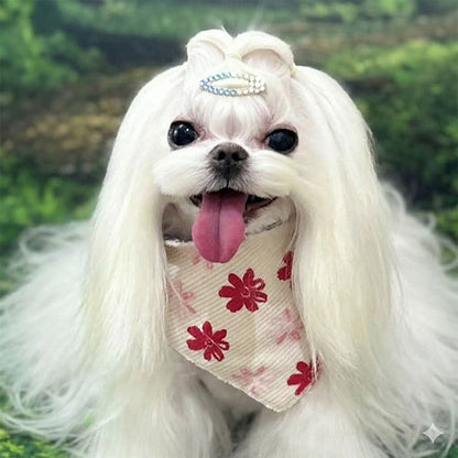 💜新品上架【梨花娘】🫧韓國PUMBLEPET GD造型雙面可用犬用頭巾小香風毛呢貓咪圍脖冬季披肩(7款)