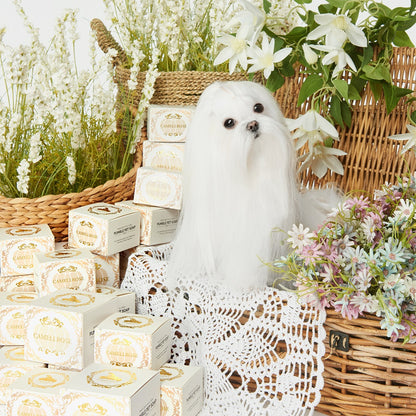 💜新品上架【梨花娘總代理】🫧韓國PUMBLEPET 韓國獸醫推薦｜天然山茶花玫瑰柔順滋養寵物清潔洗毛皂