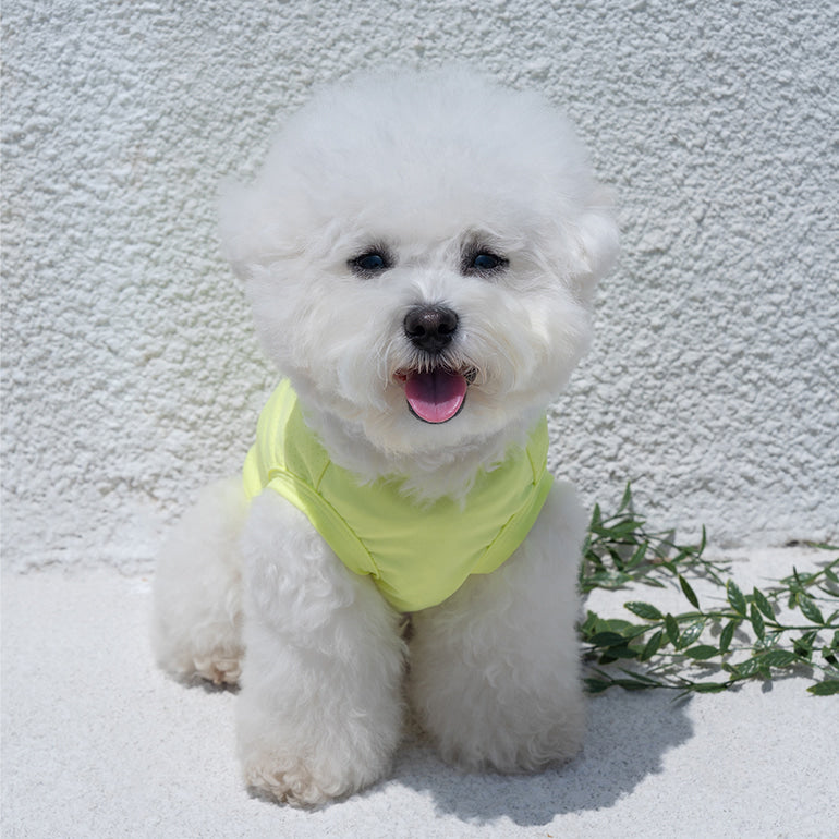 韓國BAILEY💖【梨花娘】夏日必備菌菌掰掰輕薄快乾透氣水陸兩用寵物衣(帽子可另購3色)