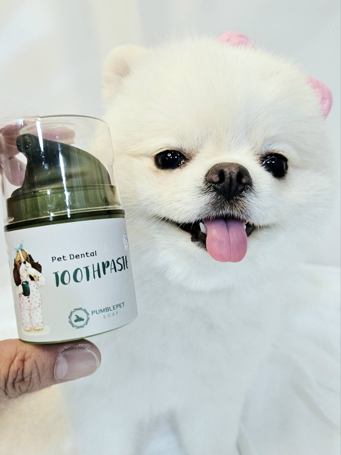 💜新品上架【梨花娘總代理】🫧韓國獸醫推薦PUMBLEPET 🌿市售唯一🙌🏻薄荷清新口腔管理寵物潔齒食品級螺旋藻真空瓶牙膏30g(犬貓適用)