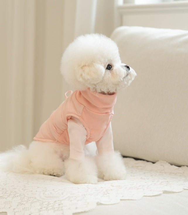 韓國新品上架【梨花娘】🐾BAILEY 🐶秋冬新品 柔軟菌菌拜拜內襯防潑水高領設計保暖寵物服飾(3色)