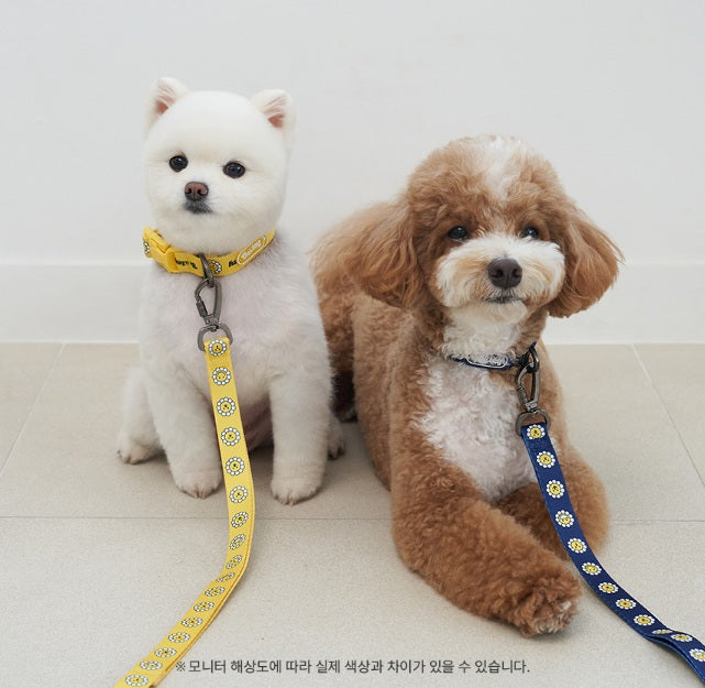 韓國新品上架【梨花娘】🐾BAILEY 🐶秋冬新品 飽合亮色花朵微笑簡易款寵物牽繩(4色)
