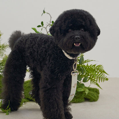 韓國新品上架【梨花娘】🐾BAILEY 🐶秋冬新品 馬卡龍柔軟色系小熊圖案簡易款寵物牽繩(3色)