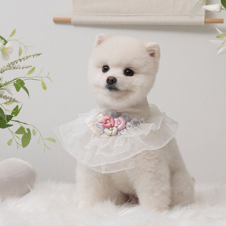 【梨花娘】🐶 韓國BAILEY💖寵物品牌精緻婚紗夢幻領巾(現貨+預購)