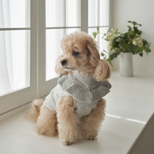 韓國新品上架【梨花娘】🐾BAILEY 🐶秋冬新品 柔軟蝴蝶荷葉邊高領針織寵物服飾(3色)