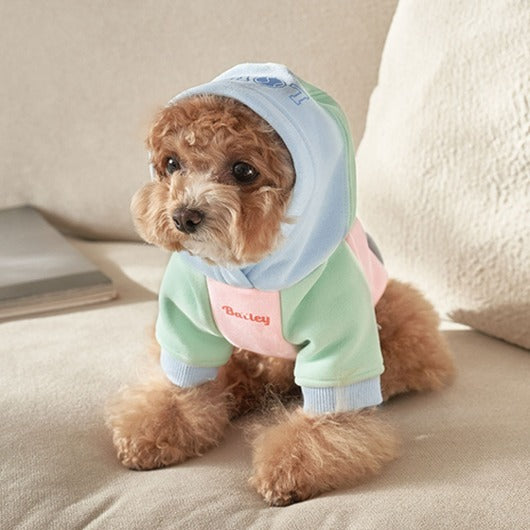 韓國新品上架【梨花娘】🐾BAILEY 🐶秋冬新品 繽紛馬卡龍拼接網球保暖親膚連帽寵物服飾