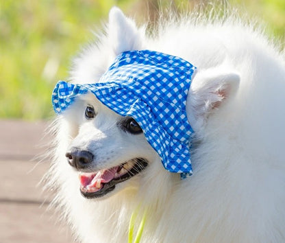 日本新品上架【梨花娘】🐾Solgra 🐶輕量避暑涼感萌耳遮陽寵物帽/冰涼圍脖(6款)