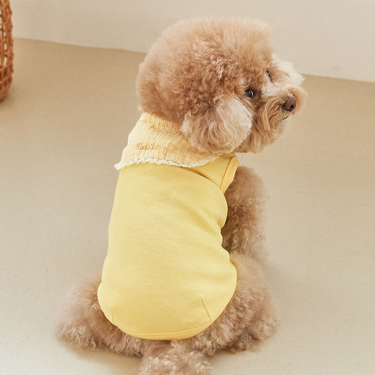 韓國新品上架【梨花娘】🐾BAILEY 🐶秋冬新品 韓系溫小公主格子領蕾絲邊刺繡寵物服飾(3色)